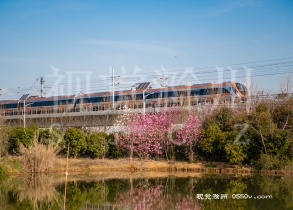 3月22日，一列滁宁城铁列车穿行在来安县水口镇境内。