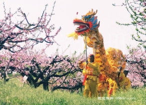 3月30日全椒二郎口镇 举办2024“春风十里 桃园飘香‘桃花节，